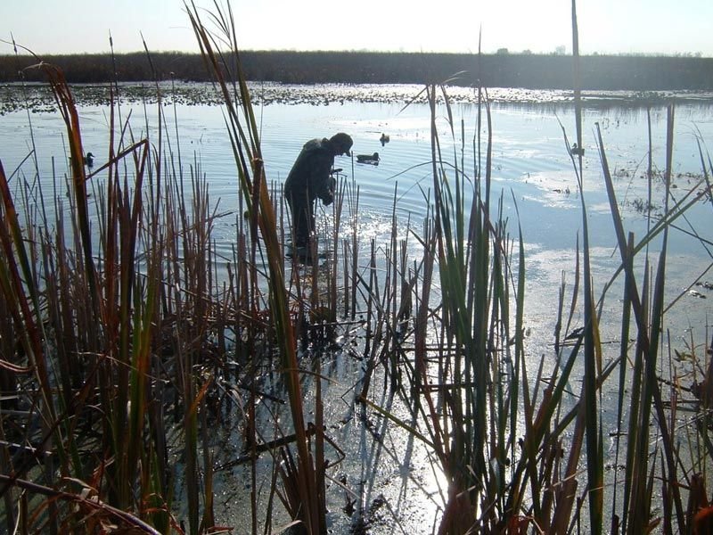 Duck hunting in Azerbaijan